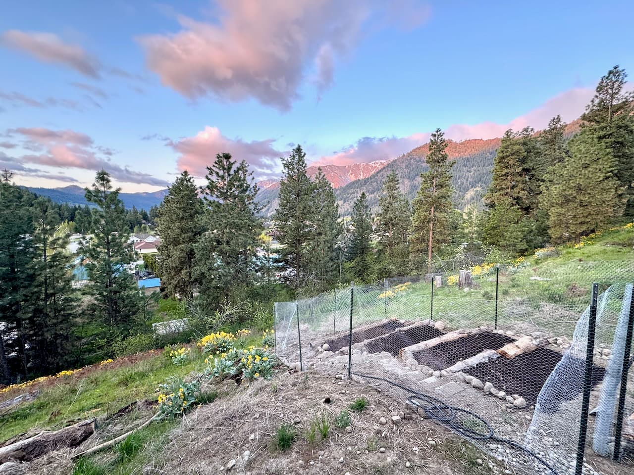 The Studio - photo 6